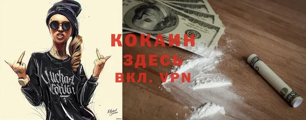 прущий лед Вяземский