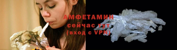 прущий лед Вяземский