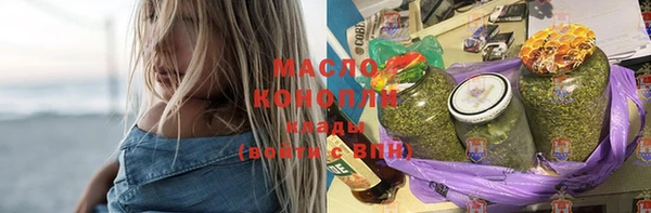 амф Бородино