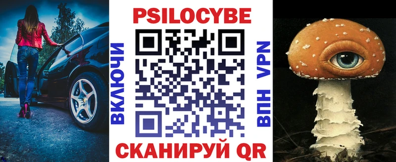 Галлюциногенные грибы Psilocybe  Завитинск 